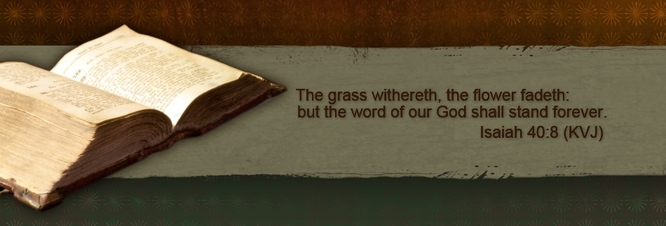 Open Bible Website Banner